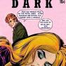 In the Dark 80