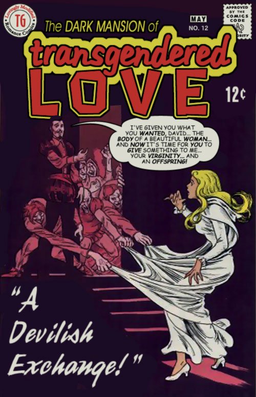 The Dark Mansion of Transgendered Love 3