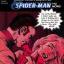 Spiderman No More 24